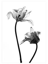 Sensualité - Art Print